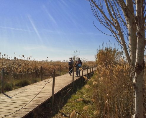 Paseo junto al río Llobregat en familia